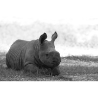 Reclaimed Earth, Inc. logo - Similar company to Future Cities Africa