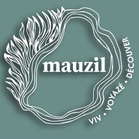 Mauzil DMC logo - Similar company to Solis 360