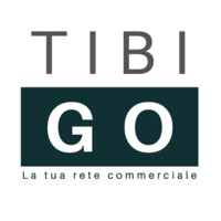 Tibigo Srl logo - Similar company to Baurdelle
