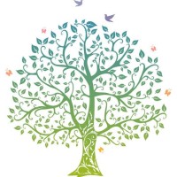 Viridis Health logo - Similar company to Mentor Academies
