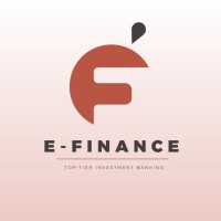 E - Finance Bank logo - Similar company to Usdexchanger Ltd