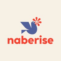 Naberise logo - Similar company to Ayt Technologies