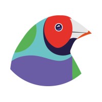 DIGIVIZIO logo - Similar company to Studio Web Crafters | Stratégie Numérique & Développement Web