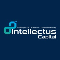Intellectus Capital logo - Similar company to Intellectus Capital Group