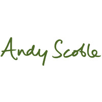 Andy Scoble Consulting Ltd logo - Similar company to Modus Leadership