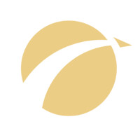 Charter One Aviation logo - Similar company to Point Me Abroad