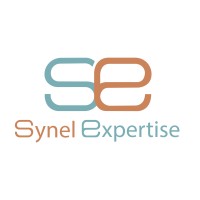SYNEL EXPERTISE logo - Similar company to Mg Expertise