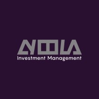 Ayoola Investment Management Limited logo - Similar company to Noredia