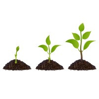 Grow Partners logo - Similar company to Impulsetogrow