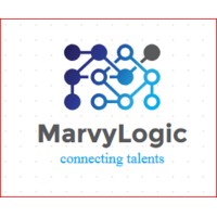 MarvyLogic logo - Similar company to Stem-Ic