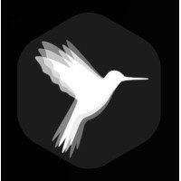 hummingbird digital intelligence logo - Similar company to Padaluma Ink-Jet Solutions Gmbh (Palis)