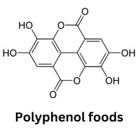 Polyphenols Foods logo - Similar company to Polyphenols Chemistry And Materials Science Lab (Ppm)