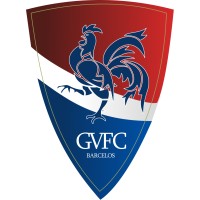 Gil Vicente FC logo - Similar company to Fc Paços De Ferreira