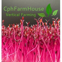 CphFarmHouse logo - Similar company to Niras Green Tech Hub