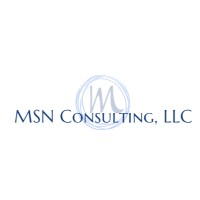 MSN Consulting, LLC logo - Similar company to Start Something Group