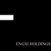 Engxi Holdings logo - Similar company to Whitehawk Advisory