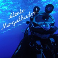Atento Mergulhador logo - Similar company to Toca Do Mergulhador