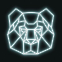 Bear Film