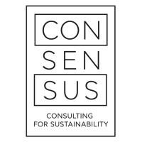 Consensus Consulting logo - Similar company to Processes Consulting
