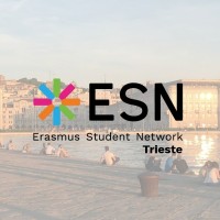ESN Trieste logo - Similar company to Trieste Gas E Luce