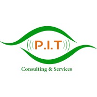 P.I.T Consulting & services logo - Similar company to Baks Technology Services