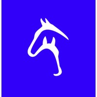 Syne logo - Similar company to Sepra