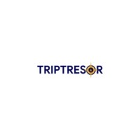 Triptresor India logo - Similar company to Triptresor Online Llp