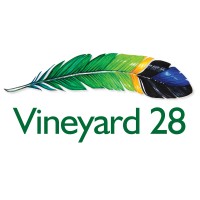 Vineyard 28