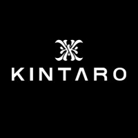 KINTARO DIY logo - Similar company to Viv