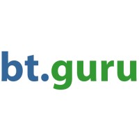BTguru logo - Similar company to Databulls