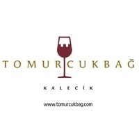 Tomurcukbag Bagcilik ve Sarapcilik Ltd. Sti logo - Similar company to Oktay Tarım Ürünleri