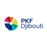 PKF Djibouti logo - Similar company to Sazentech