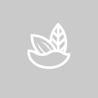 Haven logo - Similar company to Tree Of Life Kuwait