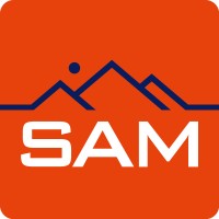 Summit Automotive Management logo - Similar company to Ferman Bmw