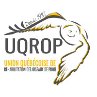 UQROP logo - Similar company to Skeltec