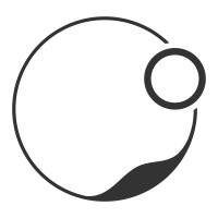 Palatine Vision logo - Similar company to Ispras (Russian Academy Of Sciences)