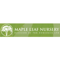 Maple Leaf Nursery Division of PBN Nurseries Ltd logo - Similar company to Willowbrook Nurseries Inc
