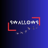 Swallows Inc logo - Similar company to Do You Speak Rh