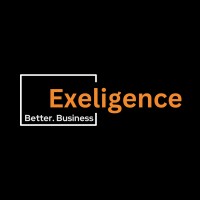 Exeligence Digital Solutions logo - Similar company to Traideas