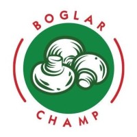 Boglar Champ logo - Similar company to Banina Srl