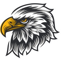 SAPSAN logo - Similar company to Ksec Worldwide