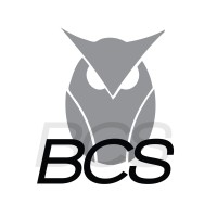 Burquel Consultancy Services logo - Similar company to Humane Asbl