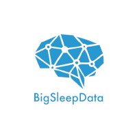 Big Sleep Data logo - Similar company to Sleep Well Data