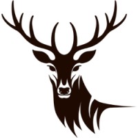 RoyalYol logo - Similar company to Spp42 Ai