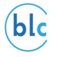Bl Consultants