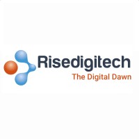 Rise Digitech logo - Similar company to Infobyd Software Solutions