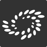 Netveano Web Design