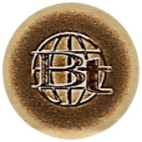 BT Trading & Contracting Co. logo - Similar company to Mega Bim