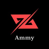 Ammy Online Store Tz logo - Similar company to No Code Tz