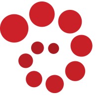 NAE Iscte logo - Similar company to Iscte Junior Consulting